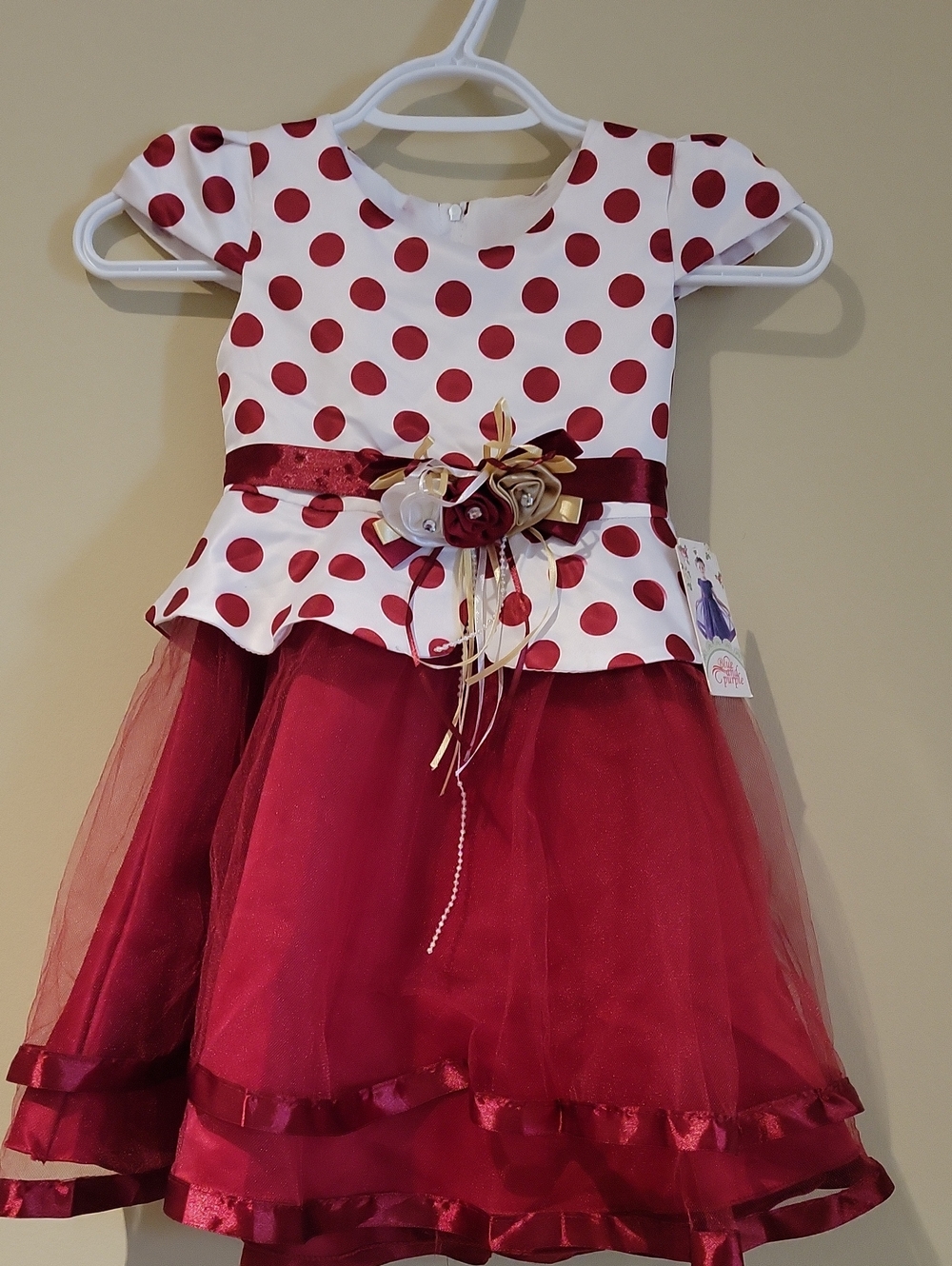 Girls Red Polka Dot Party Dress with Tulle Skirt